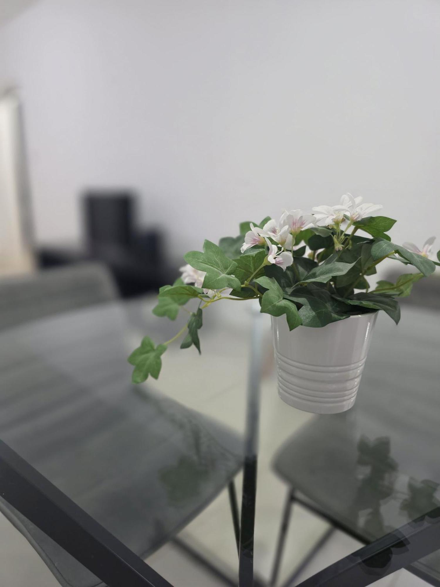 Epicurian Residence Nicosia Ngoại thất bức ảnh